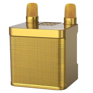 พาKTVกลับบ้าน ลำโพงไมโครโฟนคู่บลูทูธไร้สาย ลําโพงบลูทูธบ้าน เพลงคาราโอเกะไร้สายนํากลับบ้าน