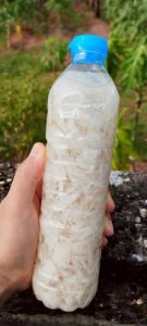 หน่อไม้ดองขวด (แพ็ค 1ขวด)