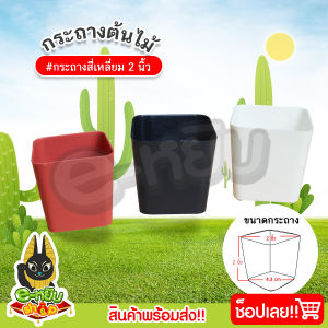 กระถางแคคตัสทรงสี่เหลี่ยม กระถางกระบองเพชร กระถาง กระถางปลูกต้นไม้ ขนาด 2 นิ้ว (แพ็ค 50 ใบ/100 ใบ)