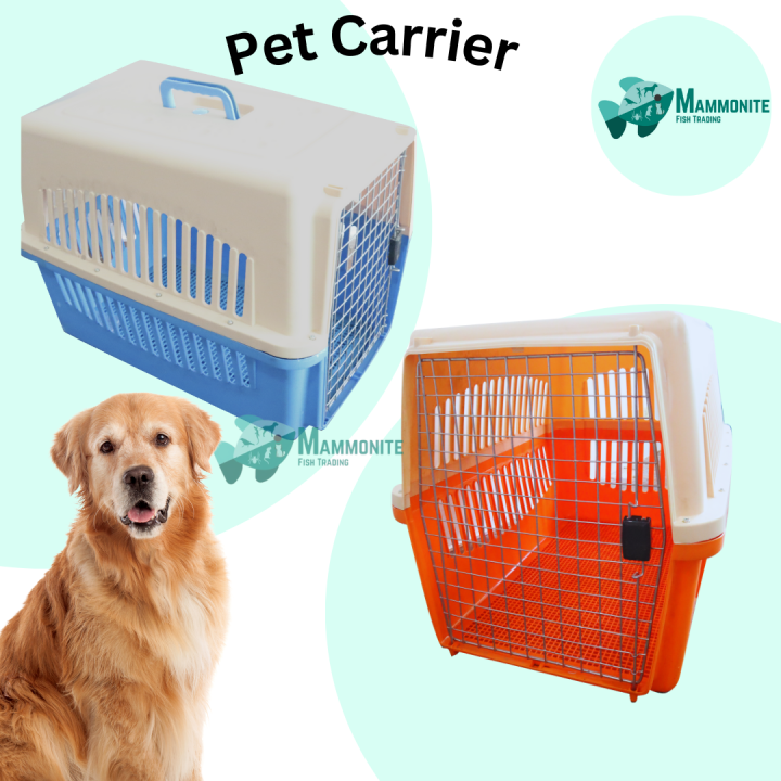 XL XXL Pet carrier travel cage cat dog crates airline approved pet flight cage with mat