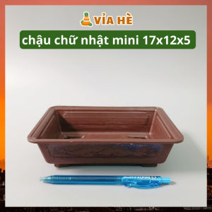 Chậu nhựa mini dài hình chữ nhật Vỉa Hè Garden trồng sen đá tiểu cảnh chậu trồng xương rồng bonsai