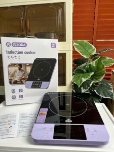 Bếp từ đơn cảm ứng Gropa G2-609 công suất 2200w bảo hành 2 năm