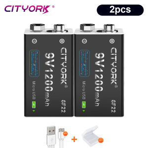 CITYORK 9V Battery 6F22 1200mAh 9V mini USB charger with USB cable used for metal detectors microphones toy multimeters