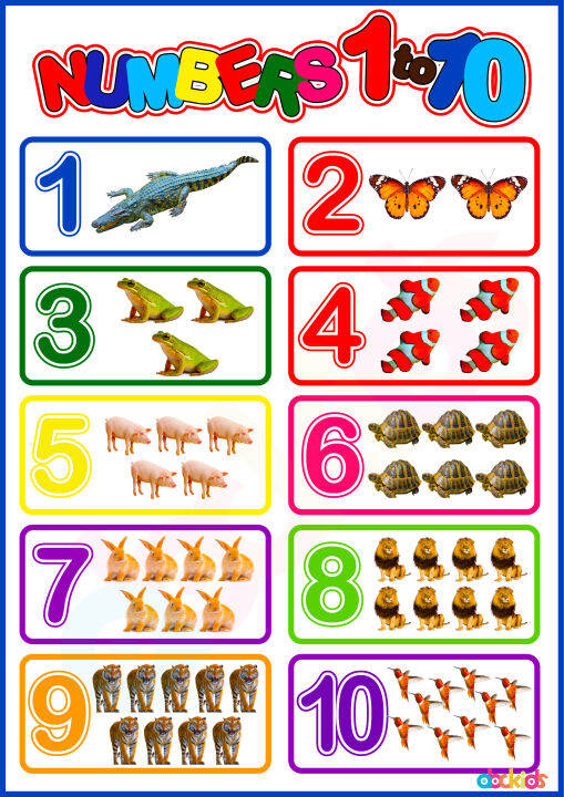 Mathematics Learning Materials and Educational Charts For Kids | Lazada PH