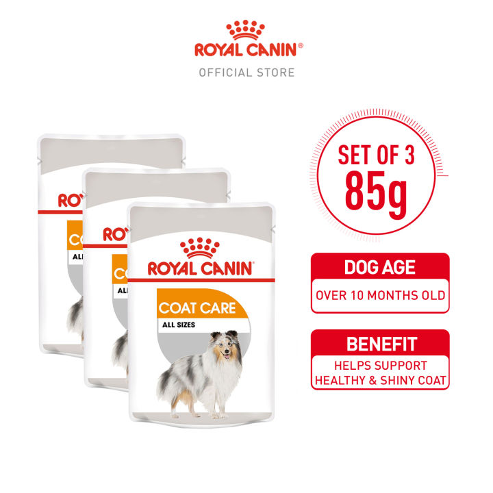 Royal Canin Coat Care Adult Wet Dog Food (85g x 3 Pouches) - Canine ...