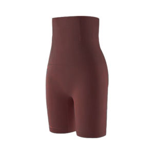 (SG InStock) V Shape Strengthen Uplift Anti-Slip High Waist Girdle (Body shaper. Corset. Binder. Lingerie Panty) - GDL14