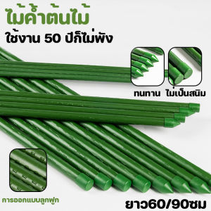【Crystal_】ไม้ค้ำต้นไม้ 5/10แท่ง ใช้งาน 50 ปีก็ไม่พัง ยาว60/90ซม หนา8มม ท่อเหล็กPE ไม้ค้ำยันต้นไม้ ซุ้มต้นไม้ ค้างผัก