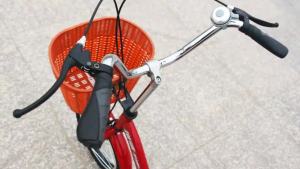 Tricycles For Adults Elderly Pedal Tricycle Bicycle pedal bike small size lightweight and casual Tricycle Bike