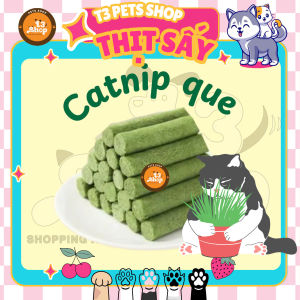 que cỏ bạc hà ( catnip) 6 cây dành cho mèo yêu - T3 PETS SHOP
