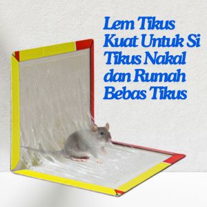 Lem Perangkap Tikus/Lem Jebakan Tiku/Pembasmi Tikus/Tempelan Tikus/Lem Tikus/Kuat Lem Hama