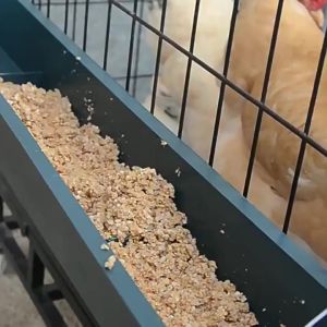 Rectangular Flower and Chicken Farming Tool for Pigs Ducks Dogs Pigeons Breeding Trough Feeding