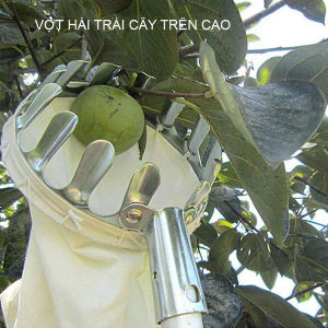 Vợt hái trái cây trên cao đa năng kèm túi vải dụng cụ hái hoa quả kim loại siêu bền đẹp