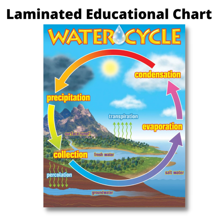 Laminated Water Cycle Chart for Kids, Learners and Students | Lazada PH