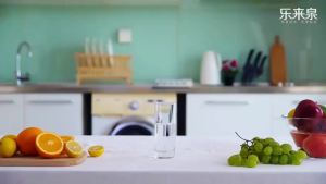 LZD RO Reverse Osmosis Pure Water hine Automatic Washing Household Kitchen Direct Drink Water Purifier