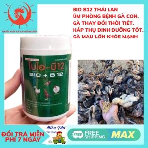 Bio b12 úm gà con 1 LỌ 150 gam.úm gà con úm gà con mới nở tăng tỉ lệ sống 101% thích hợp cho gà asil kelso f1 tăng cường b12 gà con tăng đề kháng bóng đèn úm gà bóng úm gà