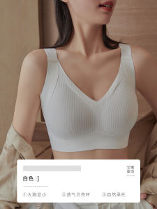 Big Bust Savior All-Season Womens Full Coverage Bra for Adult Women  Anti-Sagging  Side Breast Control  Non-Slip Straps