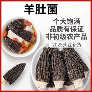 羊肚菌50g Cendawan Morel Morchella Morel Mushroom Soup羊肚菌干蘑菇Morel Mushroom Soup煲汤食材高汤
