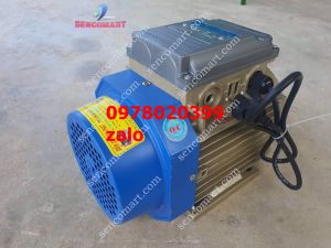 Động cơ điện 1pha  motor điện 2200w