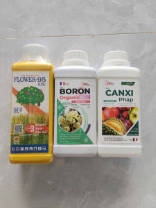 BỘ 3 ĐẬU TRÁI SẦU RIÊNG-BORON PHÁP-CANXI PHÁP-F95-400l nước