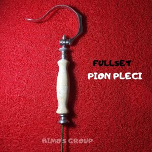 GANTUNGAN SANGKAR BURUNG PLECI MOTIF REP BNR FULLSET PION PLECI CANTOLAN SANGKAR PLECI