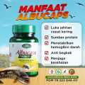 Kapsul Albucaps BPOM Obat Herbal Alami Penghilang Bekas Luka Kapsul Ikan Gabus Penyembuh Luka Pasca Operasi Pengering Luka Bekas Jahitan Luka Bakar Kapsul Herbal Alami Ekstrak Ikan Gabus Original ( Beli 2 Gratis 1 Box Susu Kambing Laziz ). 