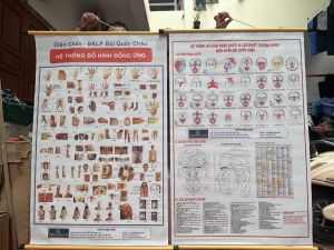 Combo 2 Cặp Tranh 68 Đồ Hình Đồng Ứng Và Tranh 32 Hình Phản Chiếu Các Huyệt Thường Dùng