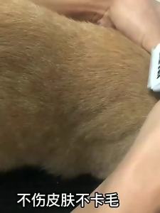 AU Yingshen electric hair clippers LB8780 Professionalgrooming clippers dog hair clippers rechargeable dog clippers suitable for Teddy and Golden Retriever breeds