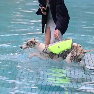 Dog Life Jacket Reflective Adjustable Large Dogs Swimwear Safety Vest Surfing Sailboat Enhanced BuoyancyLife Jackets