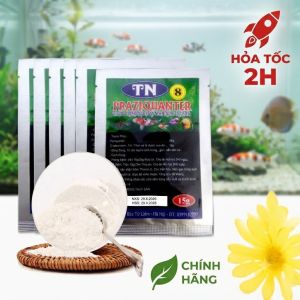 Praziquantel TN 8 Nội ngoại ký sinh trùng trên cá 15Gr