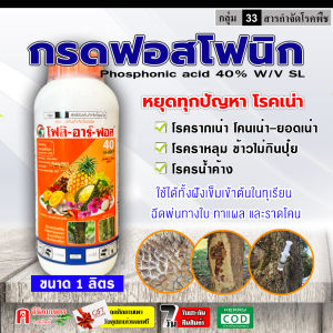 โฟลิอาร์ฟอส 400 ( 1ลิตร ) กรดฟอสโฟนิก ต้นตำรับ ฝังเข็ม ทุเรียน สารกำจัดเชื้อรา รากเน่า โคนเน่า ยอดเน่า ต้นเน่าโรคพืช