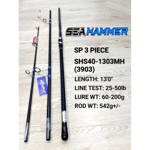 ⭐ ASUKA SEAHAMMER SURF SPINNING FISHING SURF ROD