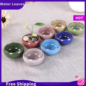 Water Leaves น่ารักน้ำแข็ง-รอยแตกเคลือบดอกไม้เซรามิกฉ่ำชาวไร่มินิพืชหม้อตกแต่งบ้าน