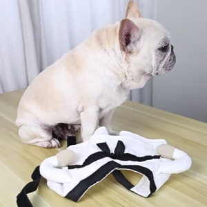 Martial Arts Theme Dog Costume Soft Polyester Comfortable Wear Pet Kungfu Apparel For Small Pet Daily and Formal Event