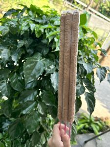Loại 1- Bó 3 cây nhang sào rồng trầm hương tự nhiên - THẮP GIAO THỪA - MAY MẮN CẢ NĂM