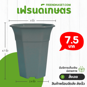 กระถางแคคตัส กระถางเหลี่ยม กระถางปากแตร 4 นิ้ว สีเทา Bundle 10 ใบ ชิ้น อัน