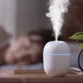 ( Tặng 1 Tinh Dầu ) Máy Xông Tinh Dầu Mini Humidifier 220ml Máy Phun Sương Tạo Ẩm Máy Khuếch Tán Tinh Dầu Tỏa Hương Thơm Cho Phòng Ngủ Và Trên Xe Hơi Xua Đuổi Muỗi Và Côn Trùng Đèn Xông Tinh Dầu Mini Hai Chế Độ Phun & Đèn Led 7 Màu. 