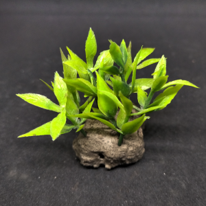 Aquarium Decoration Super Miniature Mini Artificial Plants 10p Kukumi