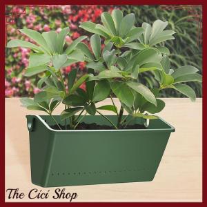 [The Cici Shop] Garden Outdoor Plant Wall Flower Pot Container Wall Hanging Vertical Green