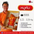 หมูหัน หมูย่าง ทั้งตัว พร้อมน้ำจิ้ม จากร้านวัวหันอินเตอร์ ลำพูน เจ้าดัง(รวมค่าขนส่งห้องเย็น รับประกันไม่เสีย). 