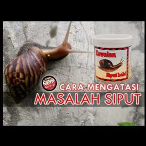 Kawalan / Racun Siput Babi Snail Repeller 蜗牛驱虫器