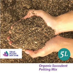 Organic Succulent Potting Mix(5L/2KG) (Cactus Haworthia Echeveria Aloe Agave)
