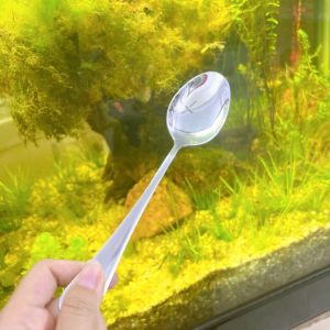 Bộ Dao nĩa muỗng ăn bít tếtthiết kế sang trọng sáng bóng Inox CAO CẤP