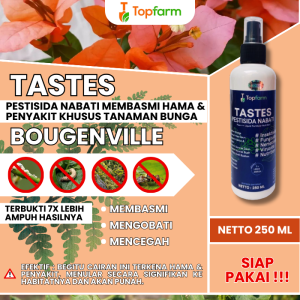 Obat Bunga Tumbuh Subur / Obat Bunga Biar Cepat Berbunga / Obat Penyubur Bunga / Obat Bunga Supaya Berbunga / Obat Aneka Bunga / Obat Tanaman Hias Pot / Obat Bugenvil