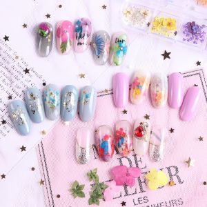 Mixed Dried Flowers 3D Natural Floral Leaf Stickers Nail Art Designs Polish  Nail Decorations DIY Face