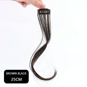 False Bangs Clip in Fake Hair Extensions Clip on Good Quality Synthetic Wigs Artificial Natural Hairpieces for Women Fringe