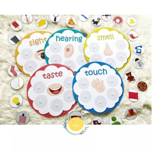 Bộ học liệu bóc dán Sắp xếp 5 giác quan Thị - Thính - Xúc - Vị - Khứu giác của con người - Giáo cụ montessori