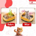 NOVAMOS Penghilang Bau Kotoran Kucing dan Anjing Terbaik ( Wangi Lemon 250 ML ) - Pet Odor Remover Spray Parfum Pewangi Pengharum Pasir Kucing Penghilang Bau Pesing Kandang Kucing - Novamos Pet Care. 