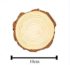 3Pcs Wood Coaster Rounds Wooden Circles Ornaments Craft Supplies for DIY and Painting