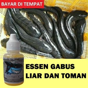 Essen Ikan Gabus Liar Dan Toman Paling Gacor Isi 30ml