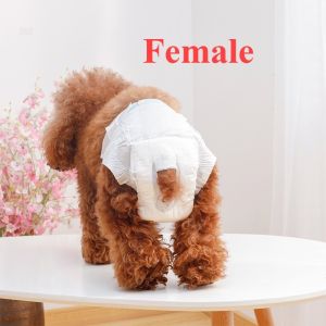 Breed-Specific Leakproof Dog Diapers for All Breed Sizes - Female/Male Puppy Training Pants